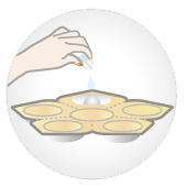 新生活集團_新生活_新生活化妝品_溯妍時光_肌活_凍干精華液