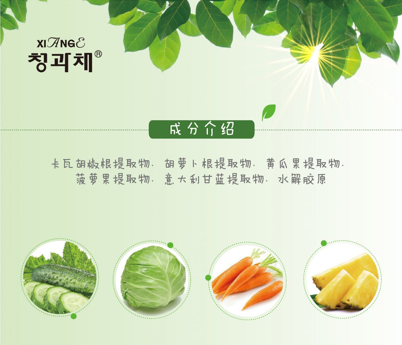 新生活_新生活集團(tuán)_新生活化妝品_相娥_青果菜_舒韻精華液