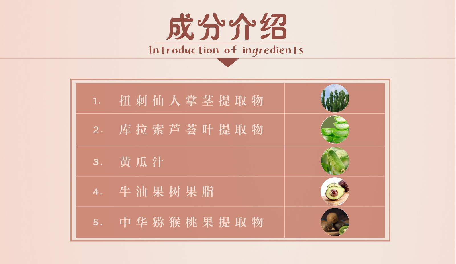 新生活_新生活集團(tuán)_新生活化妝品_雪非雪_新顏_舒緩面膜