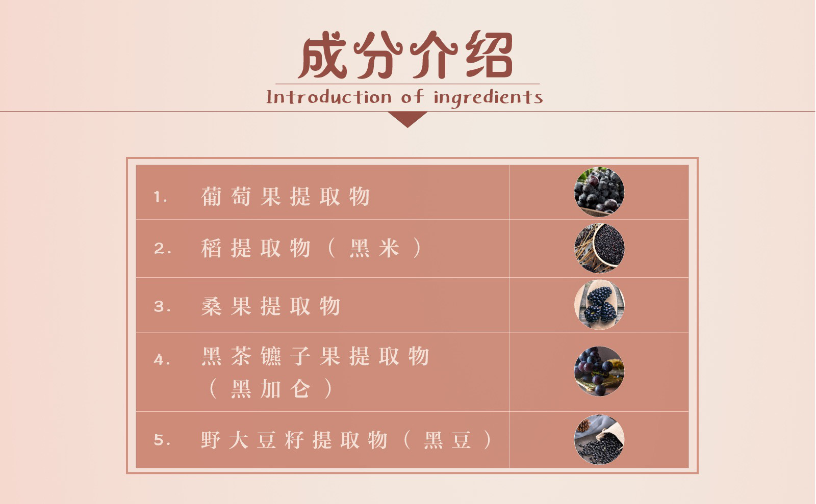 新生活_新生活集團(tuán)_新生活化妝品_雪非雪_新顏_凈澈面膜